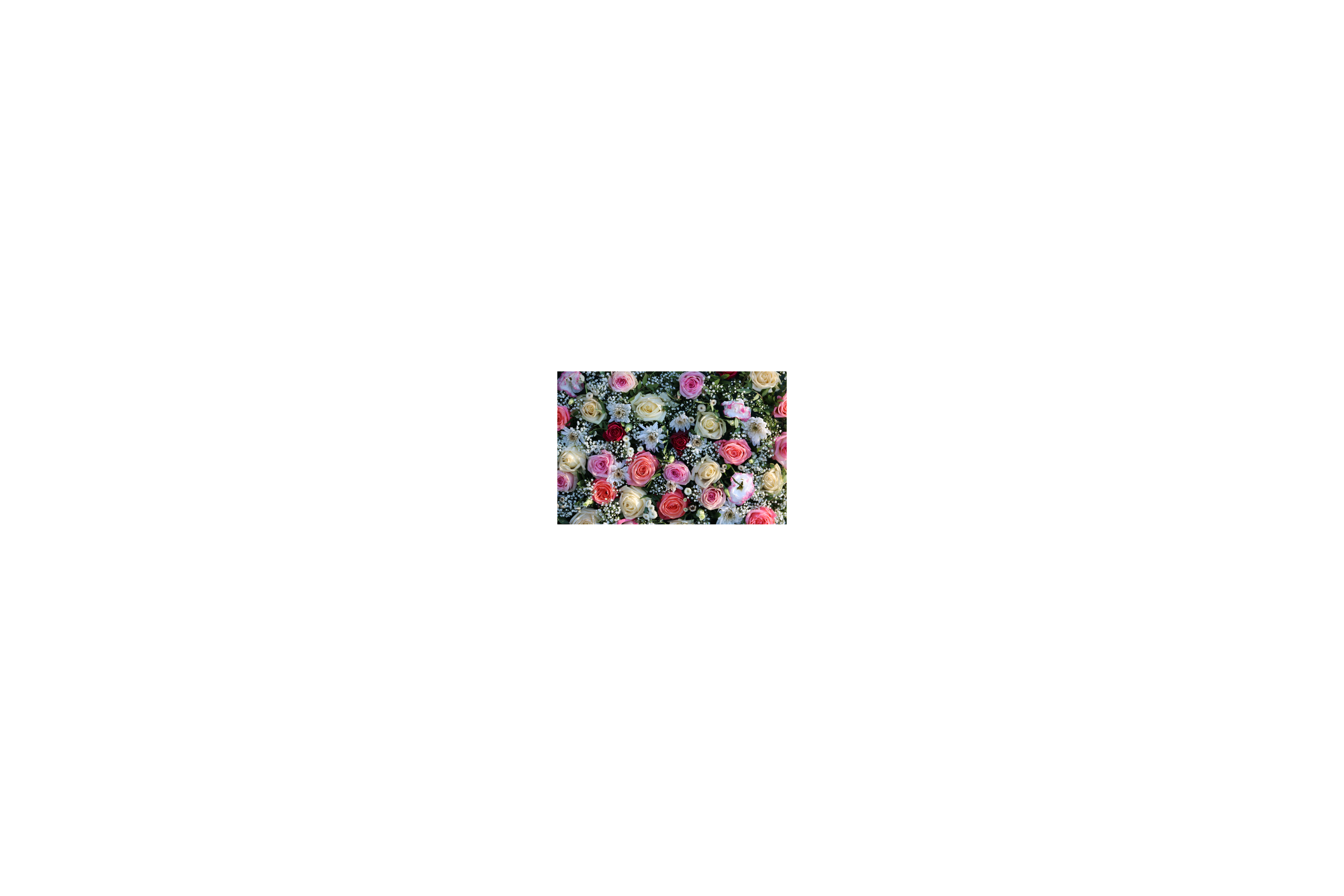 AdobeStock 138541208 1storry